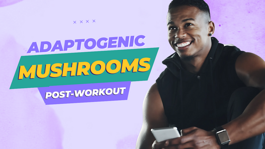 Adaptogenic mushrooms for post-workout